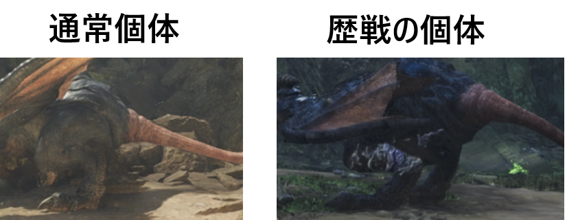 ワイルズ -  歴戦傷